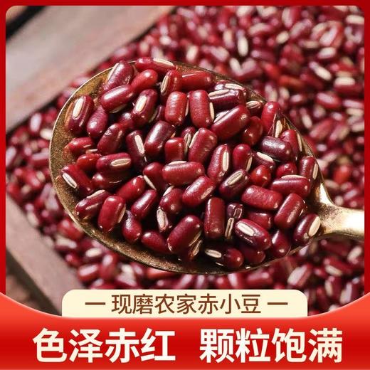 【9.9抢250g❗️新鲜农家赤小豆】颗粒饱满，好煮易烂，自然晒干，健康饮食从一碗粗粮粥开始！云南长粒红豆赤豆配薏仁米八宝粥豆沙馅料五谷杂粮新货 商品图0