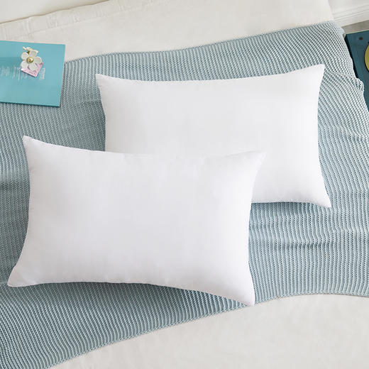 罗莱T A类防螨抗菌对枕 47×73cm 商品图1