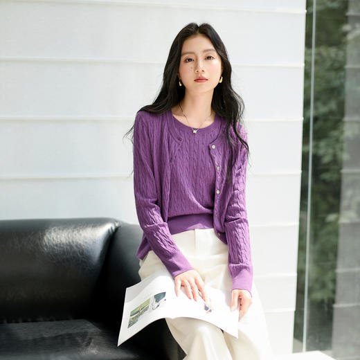 三彩2025秋季新款老钱风针织衫套装圆领毛衫开衫背心两件套S 商品图2