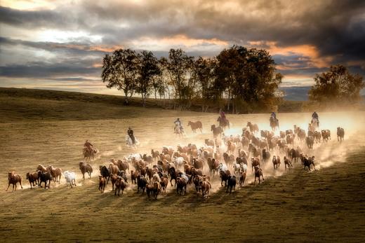 9月【坝上金秋画廊】穿越乌兰布统•金山岭长城7天风光摄影 商品图2