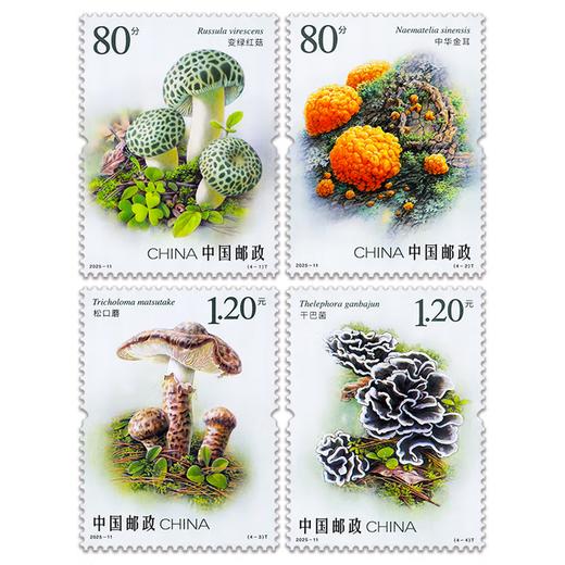 《食用菌（二）》特种邮票  2025-11 商品图0