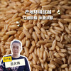 有机燕麦米 | 合作生产*Organic  swallow rice| Coproduction 商品缩略图0
