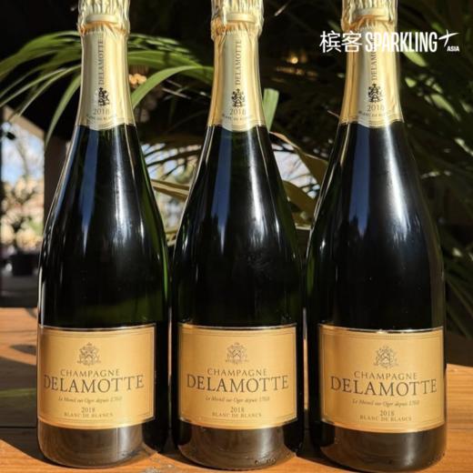 Delamotte Blanc de Blancs 2018 德乐梦香槟白中白 2018 商品图1