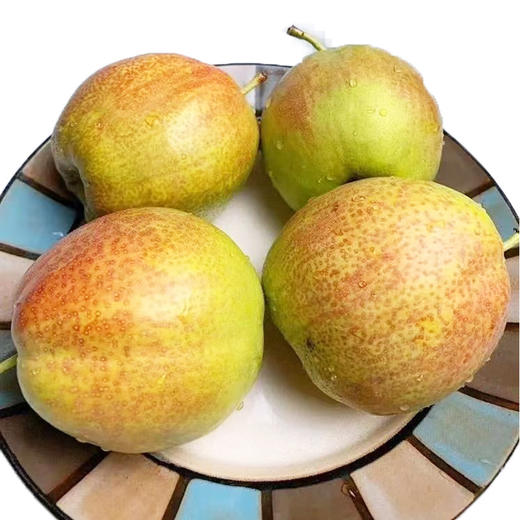 【严选】山东多彩魅梨 新鲜皮薄多汁媚梨7号香梨 商品图0
