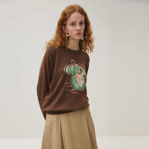 谜底套头针织衫女2025秋季新品文艺风圆领亲肤保暖百搭253MZ1366 商品图1