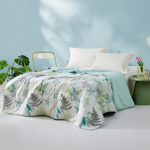 罗莱T 绿野仙踪夏被 150×200cm 商品图1