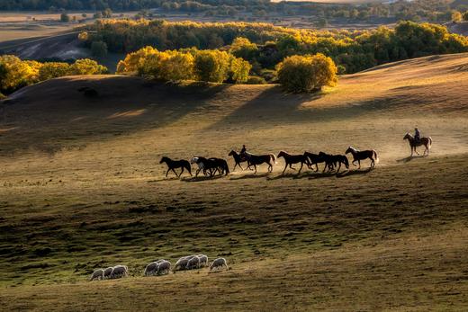 9月【坝上金秋画廊】穿越乌兰布统•金山岭长城7天风光摄影 商品图8