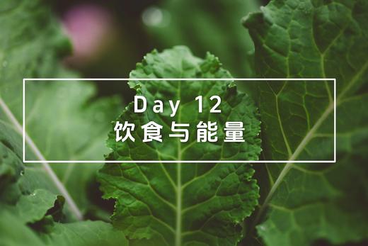 Day 12：饮食与能量 商品图0