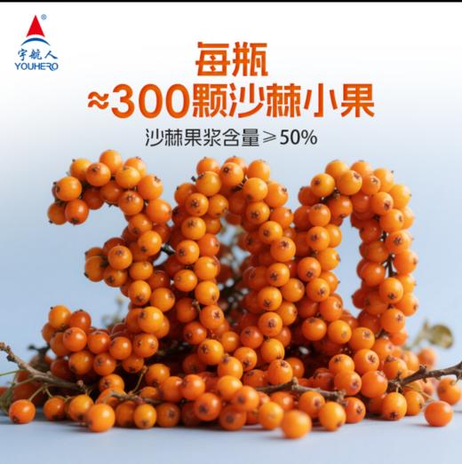 VC炸弹，沙棘全果植物饮品，优选内蒙古蛮汉山优质沙棘果，全果冷榨，口感酸甜，原生滋味，营养丰富，出口品质，0香精0色素0防腐剂0化工甜味剂0化工稳定剂。辽宁省内包邮。 商品图1