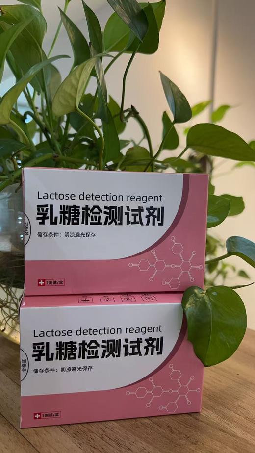 （顺丰包邮！）乳糖不耐受检测试剂  （1次/盒） 商品图0