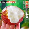 【脆甜，多汁，削皮更好吃！】梨子彩虹梨 早酥红梨子 脆甜当季 新鲜水果 酥梨青梨装 整箱约5斤 孕妇水果-QB 商品缩略图1