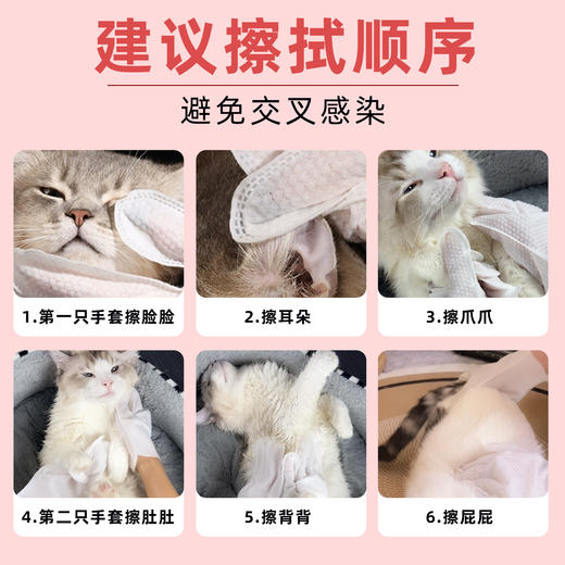 复新微控-宠物免洗清洁手套-费洛蒙珍珠纹悦心款 商品图3