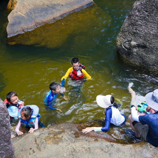 5天4晚【海南万宁国庆亲子营】体验桨板穿越雨林秘境、冲浪浮潜、轻奢住宿、特别赠送海边下午茶及接机服务等，充实过亲子假期！ 商品图5