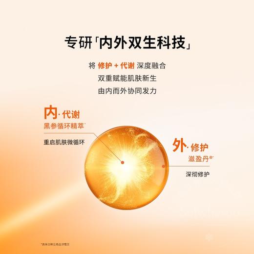 【保税仓】雪花秀润燥精华小样1ml*12片/袋 商品图2