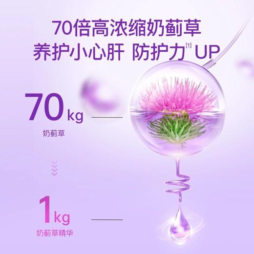 月神小紫盒夜肝片奶蓟草熬夜加班饮酒水飞蓟口服胶囊56粒/盒f1 商品图1