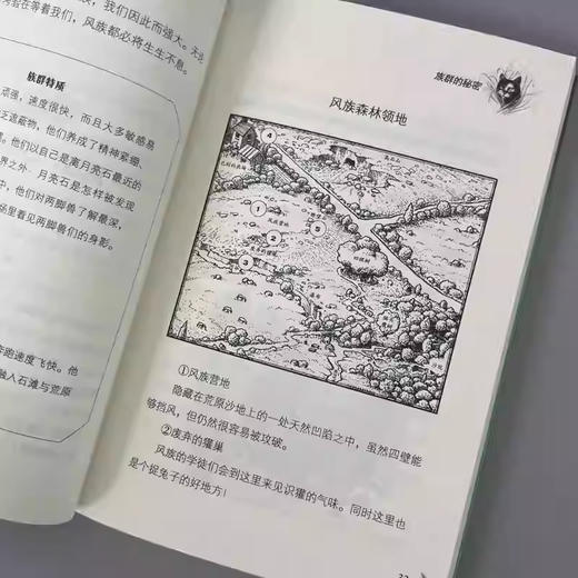 猫武士荒野手册全5册艾琳亨特著8-12岁儿童奇幻动物小说故事 商品图3