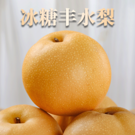 【山东丰水梨4.5斤装 】鲜甜多汁 酥脆爽囗