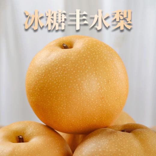 【山东丰水梨4.5斤装 】鲜甜多汁 酥脆爽囗 商品图0
