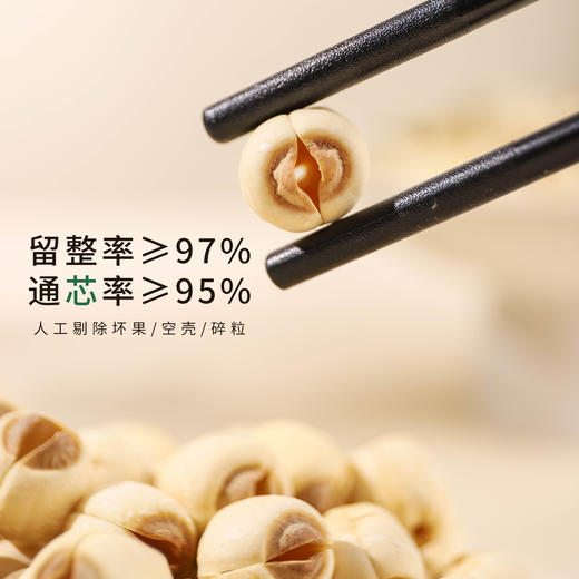 北纬纯净食品|38°江西石城甄选白莲子富硒去芯莲子粉糯无硫不漂白220g 商品图3