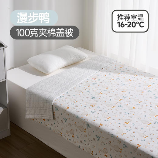 良良寝具类i5漫步鸭夹棉盖被 100gLLI-2541040-1 商品图1