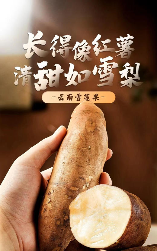 【云南普者黑云水雪莲果】当季鲜果❗新鲜现挖，送削皮刀，连续10年的热销爆款，好评如潮，信赖之选，天然减脂养生果，比苹果更脆，比梨更多汁 商品图3