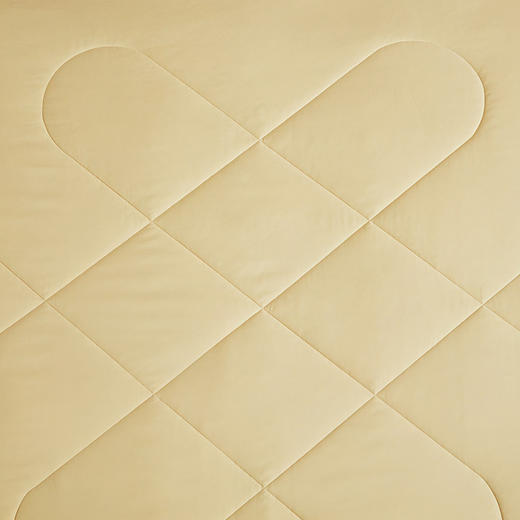 罗莱T “辉煌”A类辽原栎丝™蚕丝被  黄色 200×230cm 商品图3