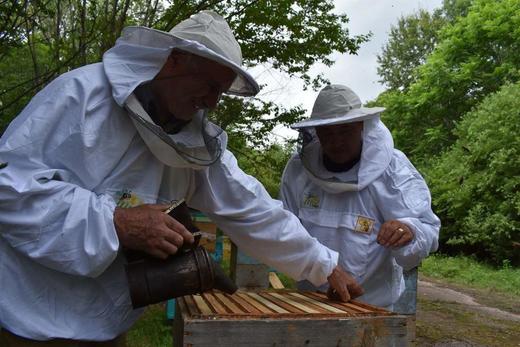 【中欧班列精选】俄罗斯原装进口俄蜜源小蜜蜂百花蜜500g装 小蜜蜂荞麦蜜500g装 小蜜蜂葵花蜜500g装 商品图12