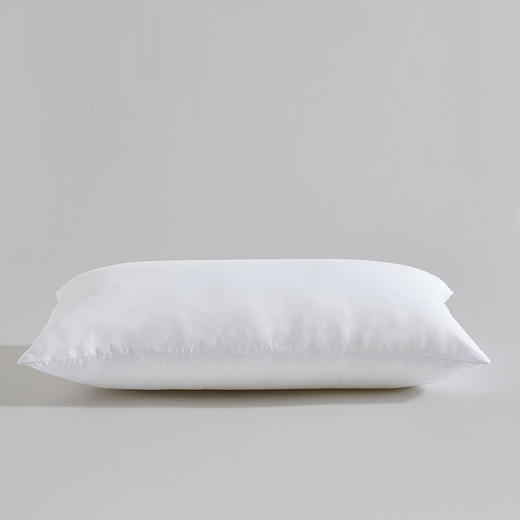 罗莱T A类防螨抗菌对枕 47×73cm 商品图5
