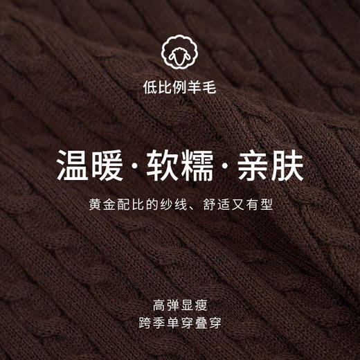 【商场同款】CNK5879 “MIU系学院风POLO半袖针织” 老钱风深咖色绞花毛衫 商品图3