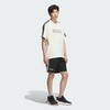 Adidas阿迪达斯MODERN SHORT SLEEVE T-SHIRT 纯棉运动休闲短袖圆领T恤 商品缩略图4