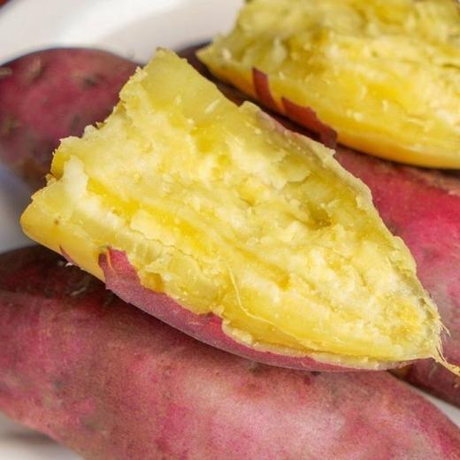 现挖现发！【新鲜美味，营养丰富，软糯香甜~】正宗板栗红薯 新鲜现挖 农家自种黄心地瓜 沙地鸡蛋黄番薯 红色外衣包裹金色果肉 藏不住的薯味-QB 商品图2
