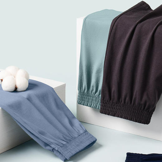 I'd爱帝男士亲肤棉弹力阿罗裤2条装素色平角裤 商品图4