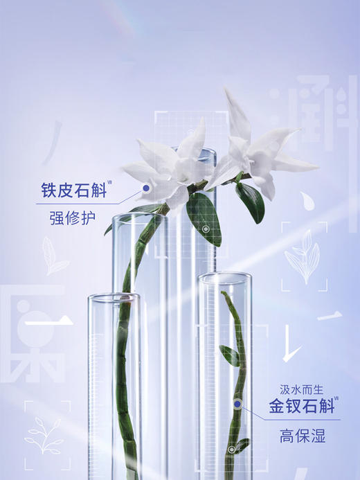 佰草集双石斛系列买一送一 商品图3