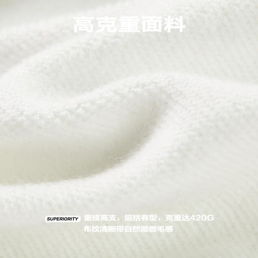 NPC潮牌立体龙纹刺绣圆领卫衣休闲高克重宽松男潮流长袖NP41ST20 商品图4