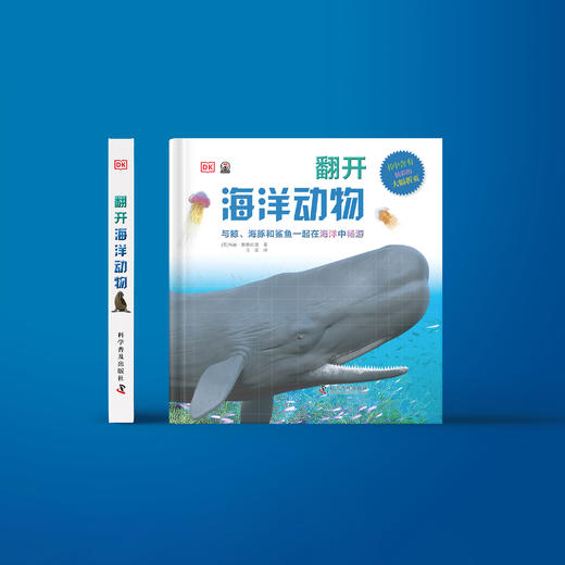 《DK翻开海洋动物》 商品图1