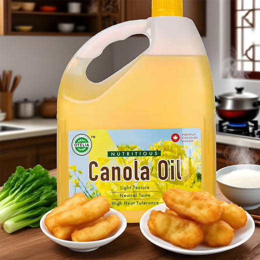 加拿大进口奥黛莉芥花籽油3L 商品图2