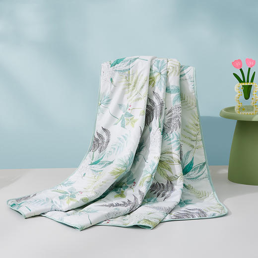 罗莱T 绿野仙踪夏被 150×200cm 商品图10