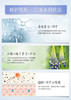 【中欧班列】日本进口藤美姬薄雪草透亮洁面乳 120g/支 商品缩略图3
