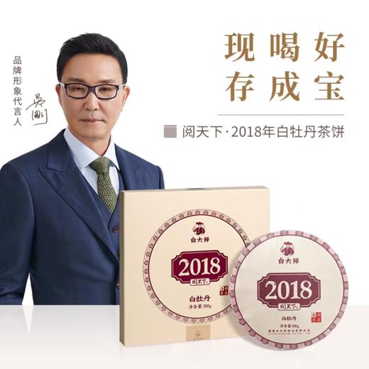 白大师阅天下2018年福鼎白茶花香白牡丹茶叶饼300g礼盒装 商品图4