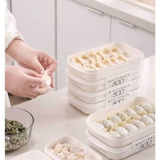 小冰箱饺子馄饨盒家用食品级材质饺子盒收纳保鲜可叠放省空间 商品图3