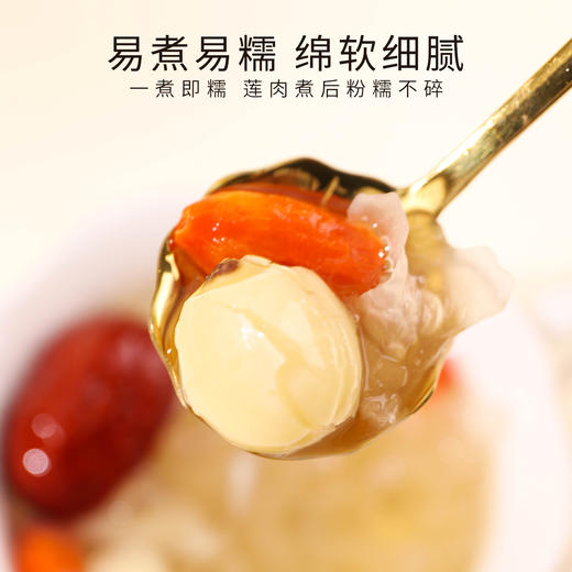 北纬纯净食品|38°江西石城甄选白莲子富硒去芯莲子粉糯无硫不漂白220g 商品图4