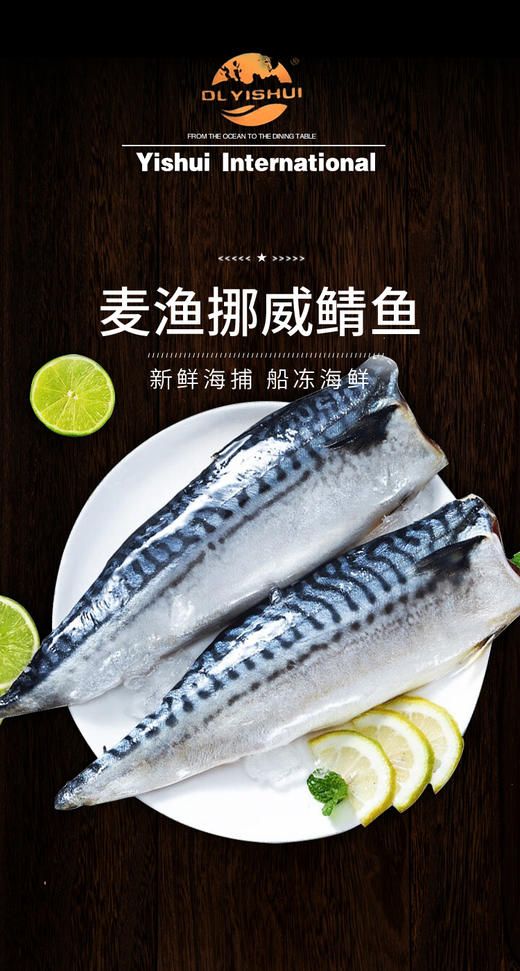 挪威进口鲭鱼丨营养不输三文鱼还更便宜，一水北大西洋海域鲭鱼 商品图4