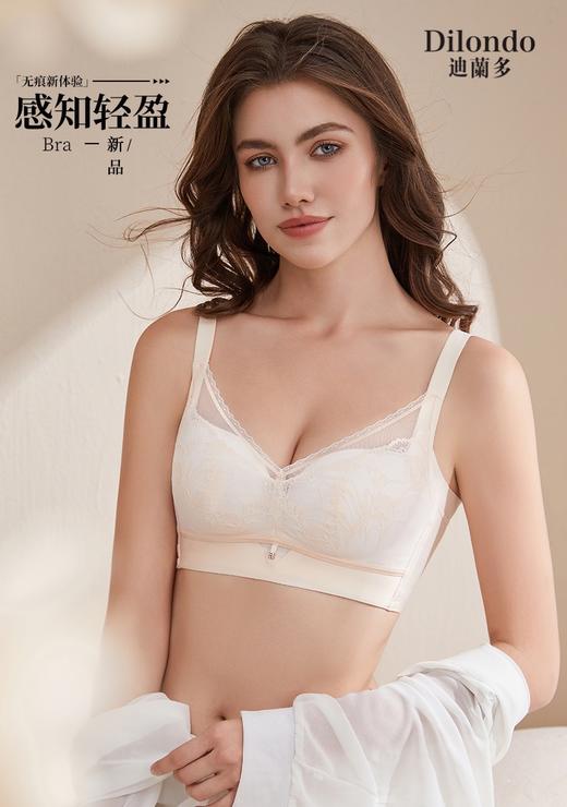 迪兰多无钢圈滑滑中薄杯柔软舒适透气2118461 商品图0