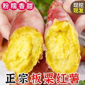 现挖现发！【新鲜美味，营养丰富，软糯香甜~】正宗板栗红薯 新鲜现挖 农家自种黄心地瓜 沙地鸡蛋黄番薯 红色外衣包裹金色果肉 藏不住的薯味-QB