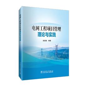 电网工程项目管理理论与实践