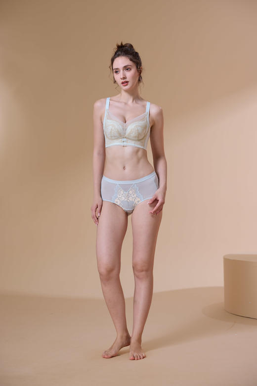 【6.9折限时优惠】【B杯单件】【秀黛】绵绵花期无钢圈中薄杯文胸S6110017B【门店同款】 商品图6