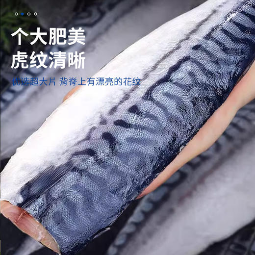 挪威进口鲭鱼丨营养不输三文鱼还更便宜，一水北大西洋海域鲭鱼 商品图1