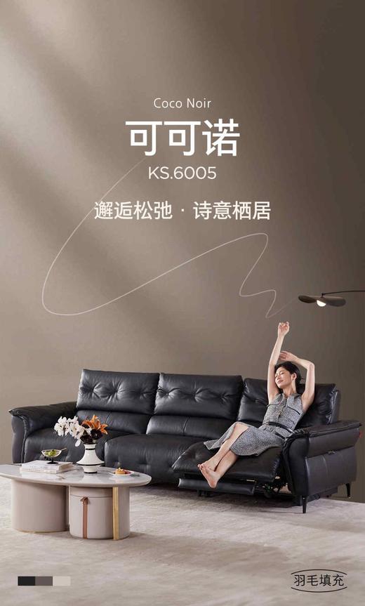 顾家KS.6005沙发 商品图0