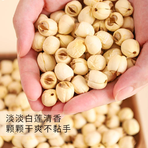 北纬纯净食品|38°江西石城甄选白莲子富硒去芯莲子粉糯无硫不漂白220g 商品图2