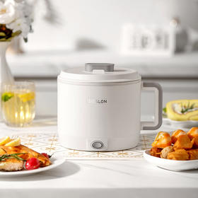 德世朗多功能电煮锅DDQ-HG110